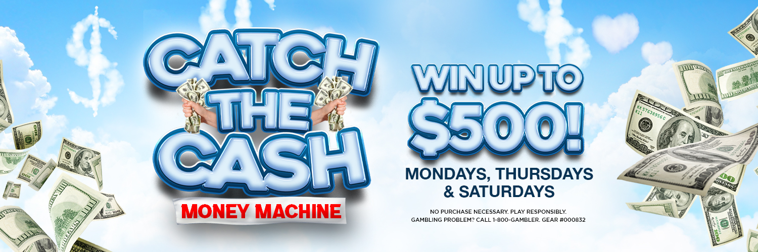 CatchTheCash_WB_HC