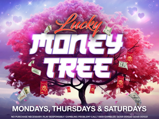 LUCKY MONEY TREE DRAWINGS