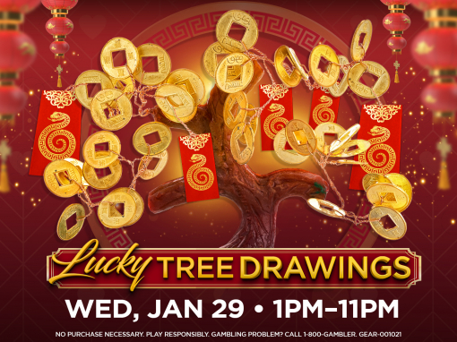 LUNAR NEW YEAR LUCKY MONEY TREE